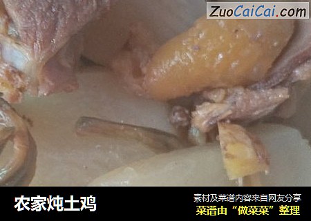 农家炖土鸡