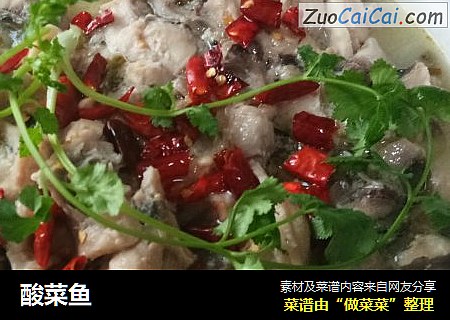 酸菜鱼