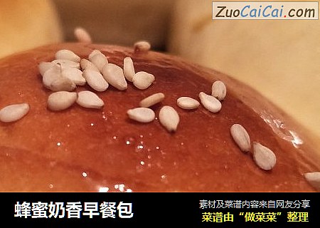 蜂蜜奶香早餐包
