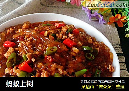 蚂蚁上树