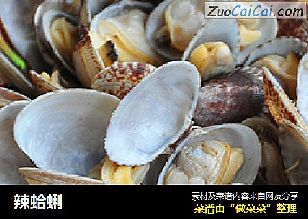 辣蛤蜊