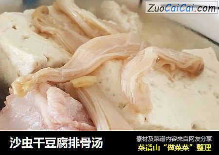 沙虫干豆腐排骨汤