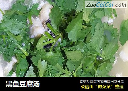 黑鱼豆腐汤