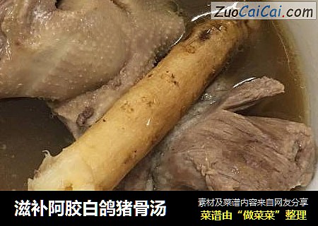 滋补阿胶白鸽猪骨汤