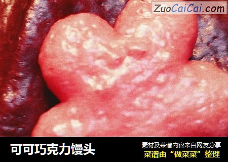 可可巧克力馒头