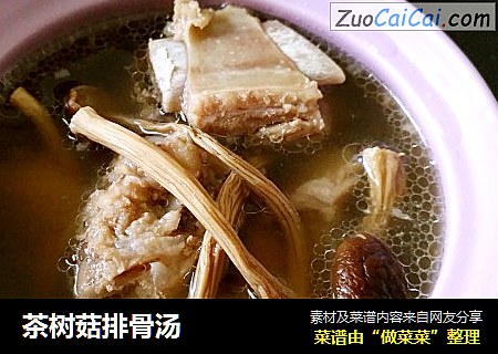 茶树菇排骨汤
