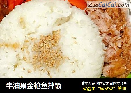 牛油果金枪鱼拌饭