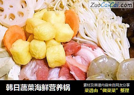 韩日蔬菜海鲜营养锅