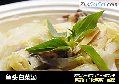 鱼头白菜汤