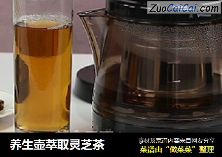 养生壶萃取灵芝茶