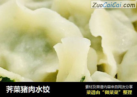 荠菜猪肉水饺