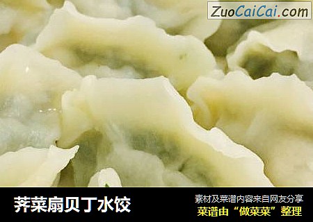 荠菜扇贝丁水饺