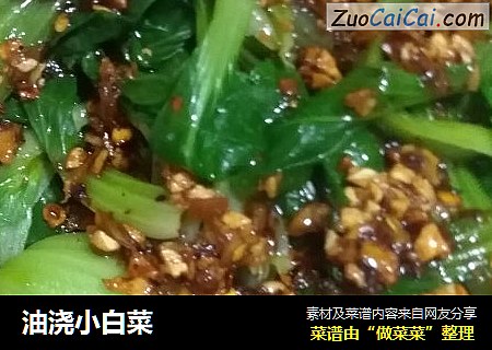 油浇小白菜