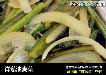 洋葱油麦菜