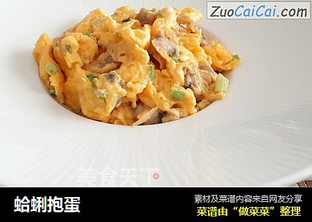 蛤蜊抱蛋
