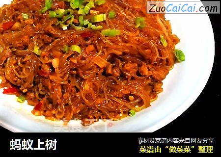 蚂蚁上树