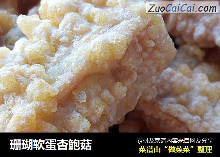 珊瑚软蛋杏鲍菇