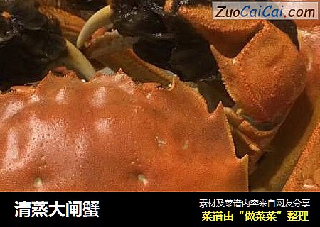 清蒸大闸蟹