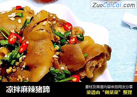 凉拌麻辣猪蹄