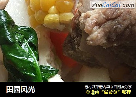 田园风光