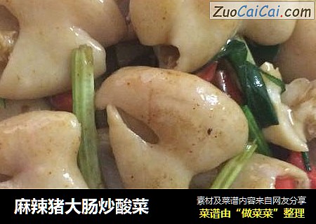 麻辣猪大肠炒酸菜