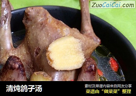 清炖鸽子汤