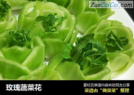 玫瑰蔬菜花