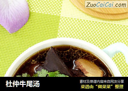 杜仲牛尾汤