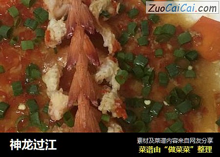 神龙过江