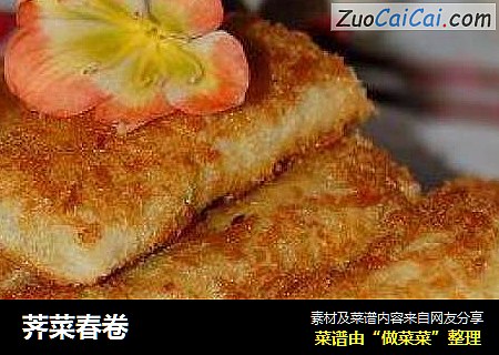 荠菜春卷