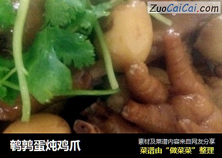 鹌鹑蛋炖鸡爪