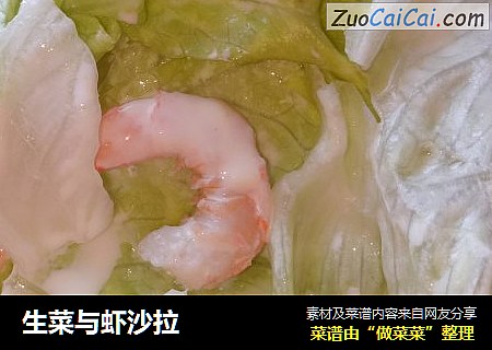 生菜与虾沙拉