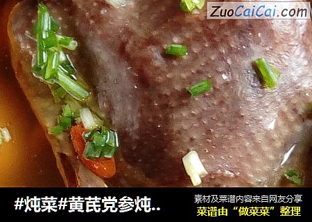 #炖菜#黄芪党参炖布鸽