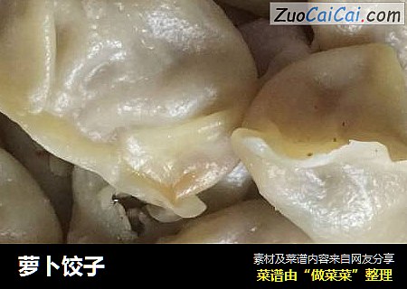 萝卜饺子
