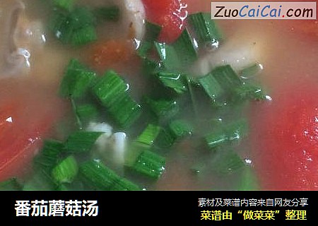番茄蘑菇汤
