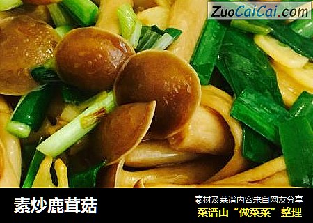 素炒鹿茸菇