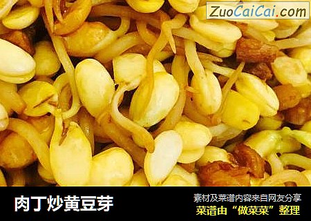 肉丁炒黄豆芽