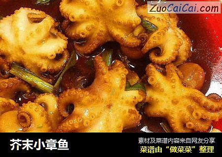 芥末小章鱼