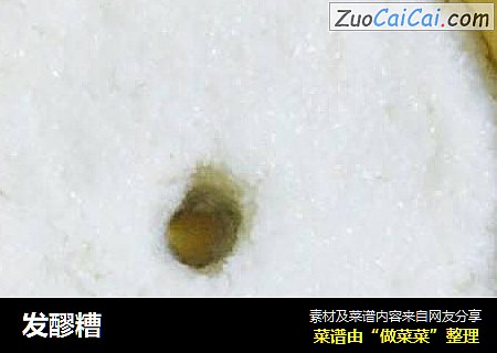 发醪糟