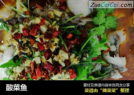 酸菜鱼