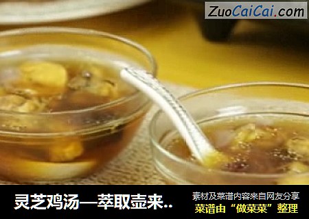 灵芝鸡汤—萃取壶来帮忙