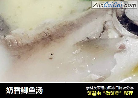 奶香鲫鱼汤