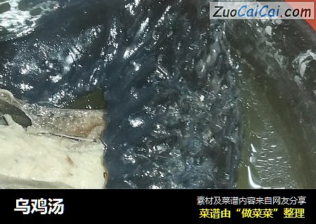 乌鸡汤