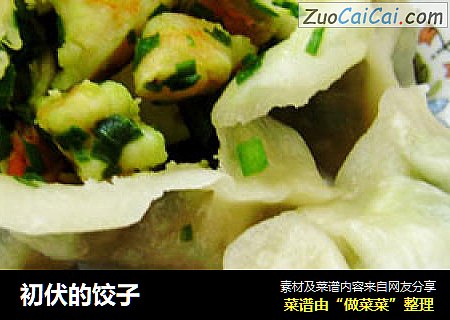 初伏的饺子