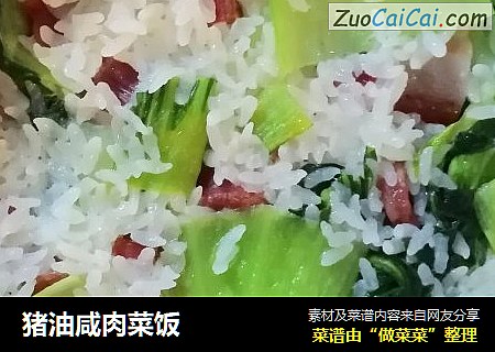 猪油咸肉菜饭