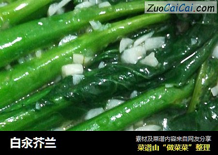 白汆芥兰