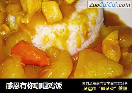 感恩有你咖喱鸡饭