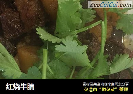 红烧牛腩