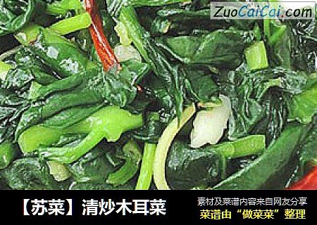 【苏菜】清炒木耳菜