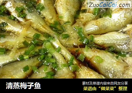 清蒸梅子鱼